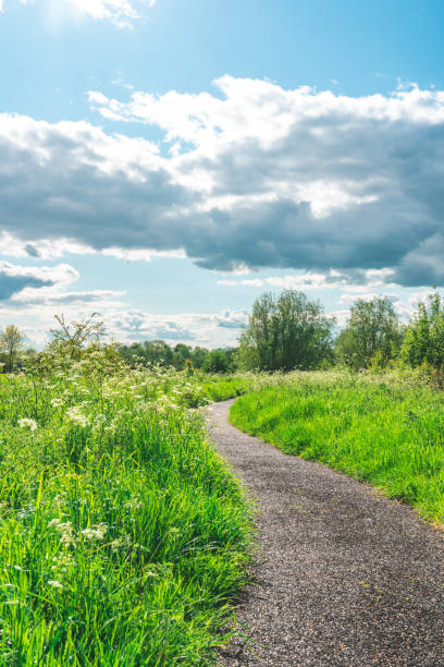 istock A macadam footpath in Ouse Valley Park, UK 1713393544