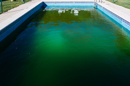 Unattended outdoor pool in winter, with green water invaded by algae.