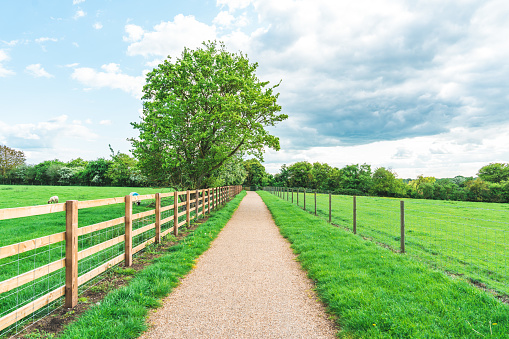 A macadam footpath in Ouse Valley Park, UK