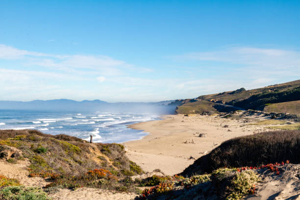 istock Morning mist at the California Coast 1713396710