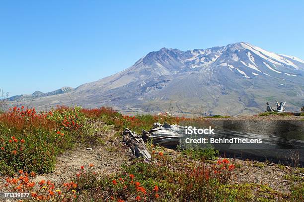 Mt St Helens Stock Photo - Download Image Now - Active Volcano, Broken Top, Clear Sky