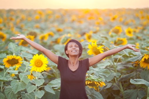 African woman relaxing with arms open among sunflowers, receiving energy  of sunset.