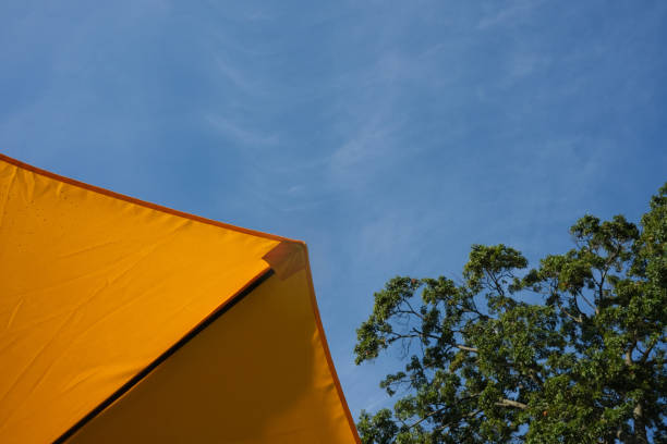 Bright colours on vacation, view to the sky