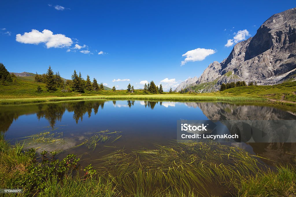 Alpine See lake - Lizenzfrei Alpen Stock-Foto