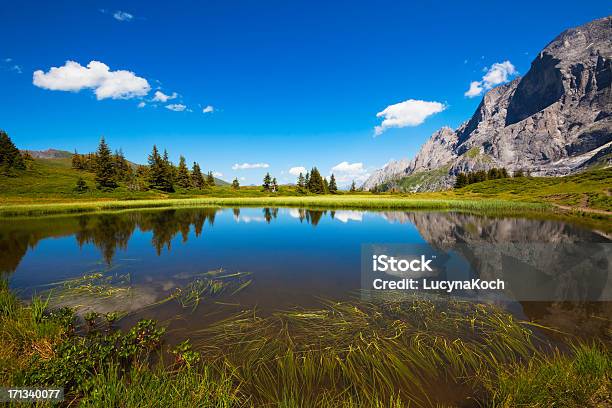 Alpine See Lake Stockfoto und mehr Bilder von Alpen - Alpen, Baum, Berg