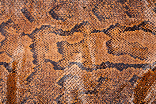 Brown snake skin leather textured background