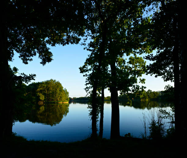 istock Lake Framed by Trees at Sunset 171340387