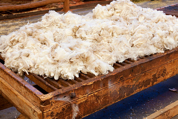 Wool M 4,700+ Raw Wool Stock Photos, Pictures & Royalty-Free Images - iStock
