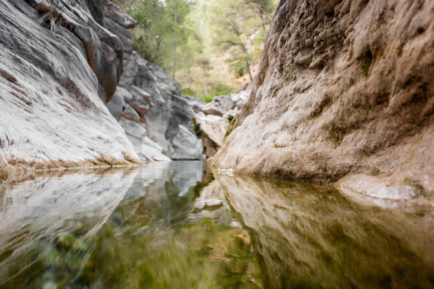 Calm watercourse that flows in the rocky bed reflecting the forest in its waters.