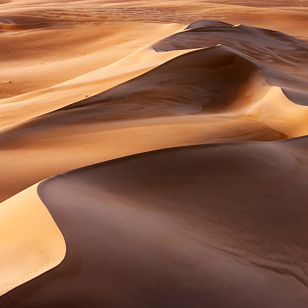istock Great Sand Sea, Libyan Desert, Africa 171341078