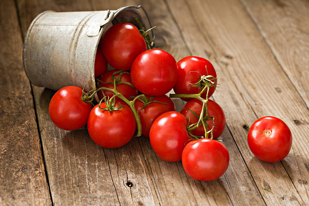 vine tomates maduros en un centro de costos - tomatoes on vine fotografías e imágenes de stock