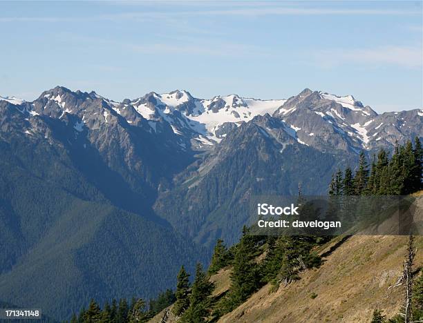 Mt Carrie Nel Parco Nazionale Olympic - Fotografie stock e altre immagini di Ambientazione esterna - Ambientazione esterna, Composizione orizzontale, Dorsale