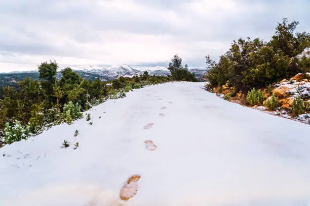 Snowy landscape with footsteps on the snow of the mountain road in Siete Aguas, Valencia.