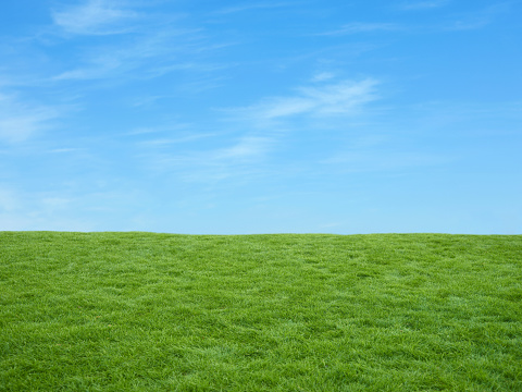 Green lush field and blue sky background with very faint clouds.