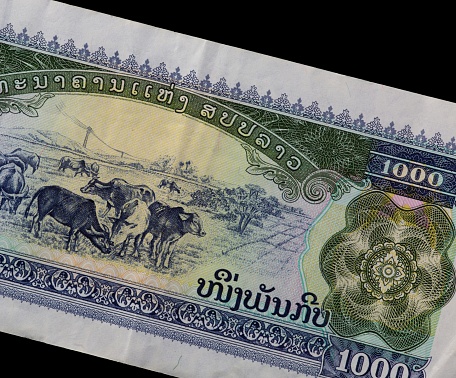 Water buffalo herd detail on a 1000 riel Cambodian bank note.