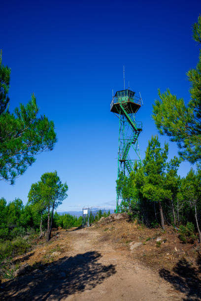 istock High forest watchtower on top of a peak. 1713428265
