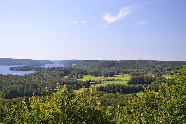 View of lake in Sweden stock photo