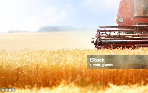 Harvest Foto de stock y más banco de imágenes de Campo - Tierra cultivada - Campo - Tierra cultivada, Grano - Planta, Maquinaria