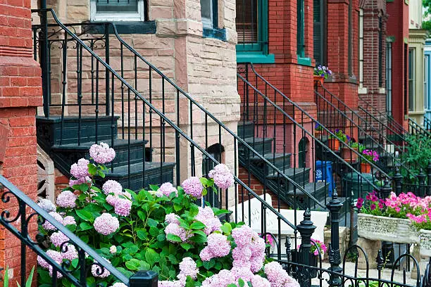 Photo of Rowhouses in Washington DC