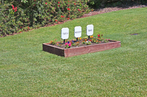 pet grab marker - san francisco national military cemetery stock-fotos und bilder