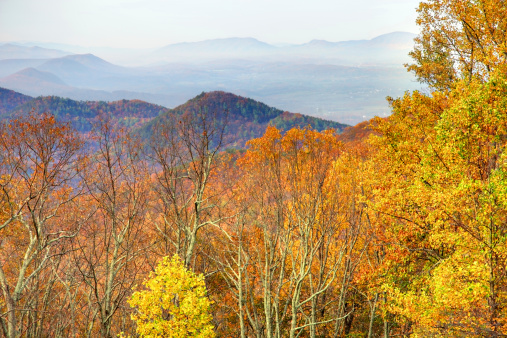 Autumn in the Appalachian Mountains along the Blue Ridge Parkway in Virginia