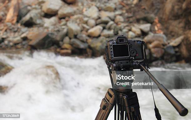 Taking Nature Photos Stock Photo - Download Image Now - Activity, Beauty In Nature, Black Sea