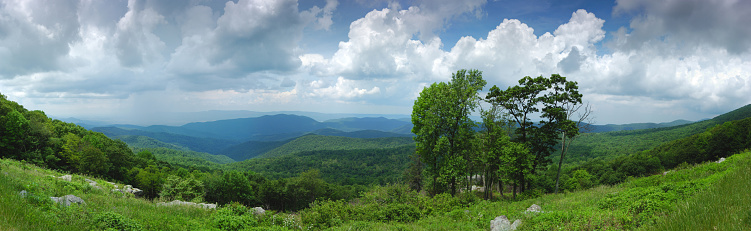View of the Curtis Valley signpost in the foreground with a background view of the Curtis Valley of the Blue Ridge Mountains with springtime flowers, clouds, and a prominent spruce tree.