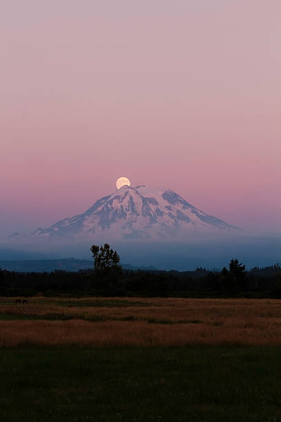 Moonrise over Mt. Rainier stock photo