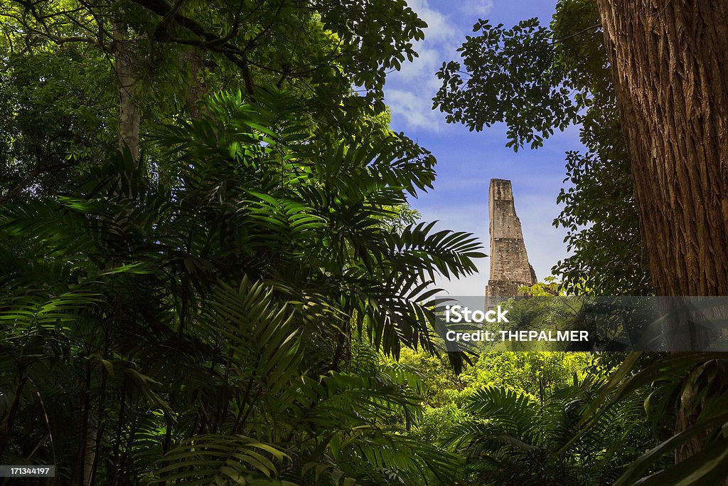 Tikal Guatemala "View of a the top part of a temple-pyramid on the archeological site of Tikal, shoot thru an opening in the forest." Guatemala Stock Photo