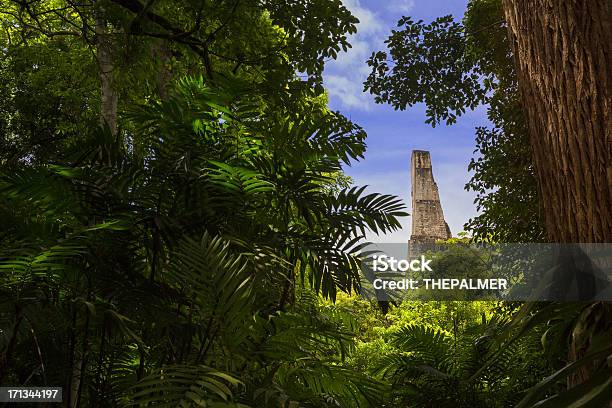 Tikal Guatemala Stock Photo - Download Image Now - Guatemala, Mayan, Temple - Building