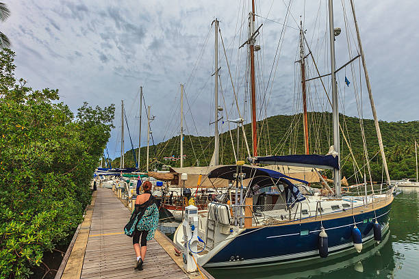 marigot bay, saint lucia - st lucia bay caribbean marigot bay stock-fotos und bilder