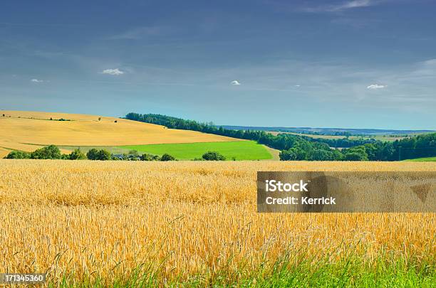 Gerste Felder In Deutschlandthüringen Stockfoto und mehr Bilder von Agrarbetrieb - Agrarbetrieb, Anhöhe, Ausgedörrt