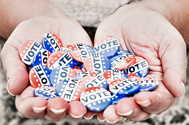istock Human hand holding a Vote badge 171345518