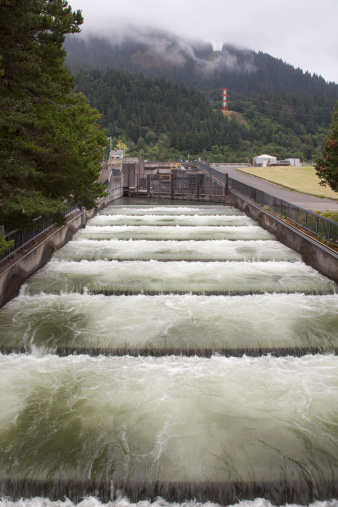 Water flows through a fish ladder in Bonneville Dam and Locks which produces electricity while allowing salmon and other fish upstream and downstream in the Columbia River which flows on the Oregon and Washington border in the Columbia River Gorge National Scenic Area.