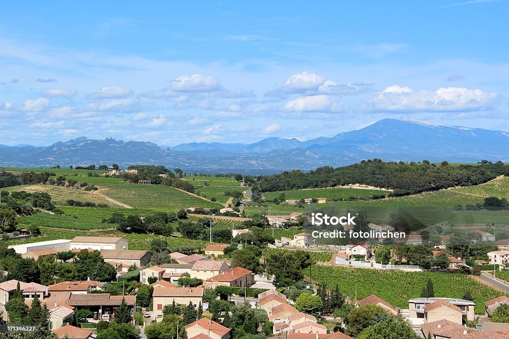 Berg Mont Ventoux - Lizenzfrei Baum Stock-Foto