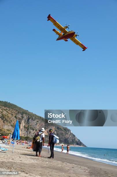 Feuerwehrmann Flugzeug In Aktion Stockfoto und mehr Bilder von Blau - Blau, Erwachsene Person, Feuer