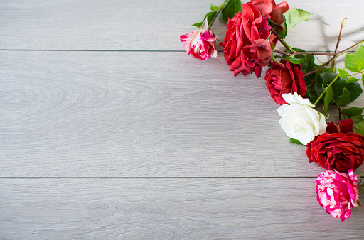 Floral background of pink, red and other roses on a light wooden table
