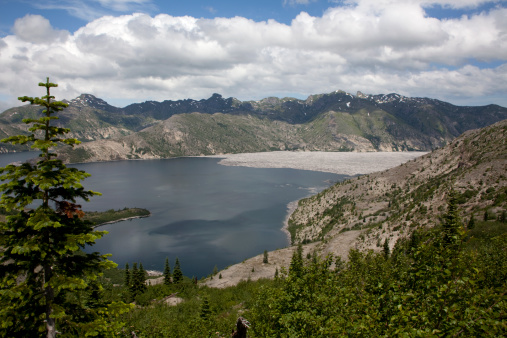 Dead trees from the 1980 eruption fill Spirit Lake in Washington's Mount St. Helens National Volcanic Monument.
