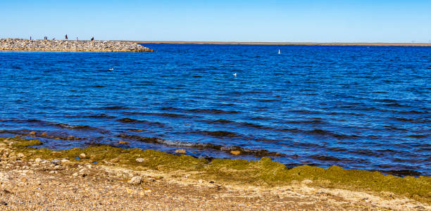 istock Kinnbrook Island Provincial Park Alberta Canada 1713469459