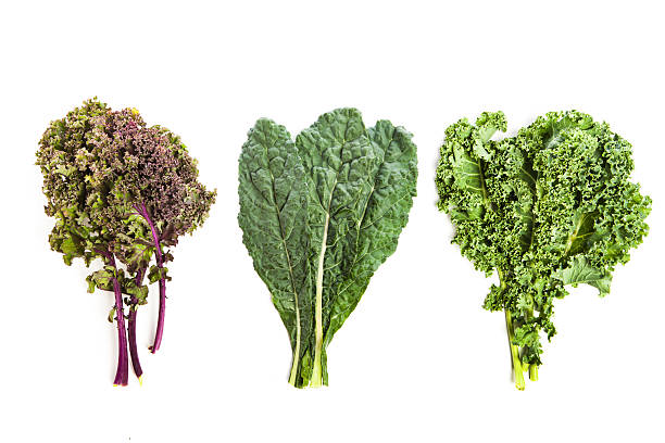 Three leafy kale plants Subject: Several varieties of fresh kale forming top corner border of the page, leaving white background for copy in lower half of page. kale photos stock pictures, royalty-free photos & images