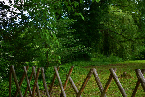 Landscape with fence made of crossed sticks in the foreground, trees and green bushes in a summer day. Natural forest background. Wildlife. Poland, park in the Kurnik castle, Poznan, June 2022.