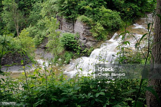 Водопад — стоковые фотографии и другие картинки Letchworth State Park - Letchworth State Park, Wolf Creek, Без людей