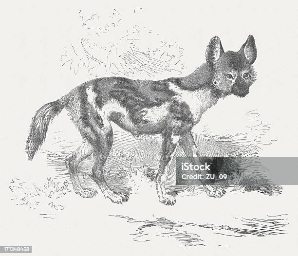 African Wild Dog Stock Vektor Art und mehr Bilder von Afrika - Afrika, Apfelschimmel, Asiatischer Holzschnitt