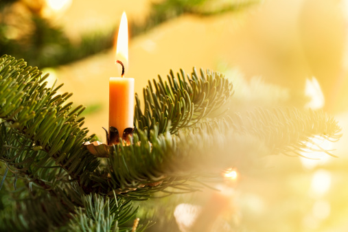 burning candle made of beeswax in christmas tree