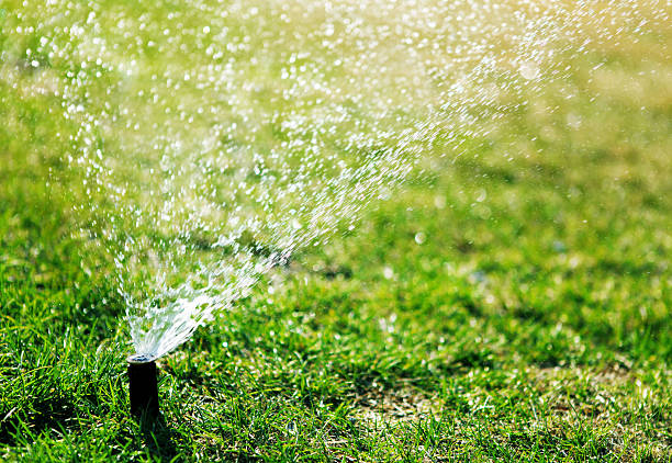 istock Garden Hose Sprinkler 171349132