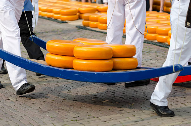 치즈 항공사 알크마르 - alkmaar cheese market 뉴스 사진 이미지