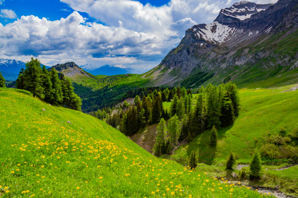 istock Landscape seen from the thirst road. 1713496317