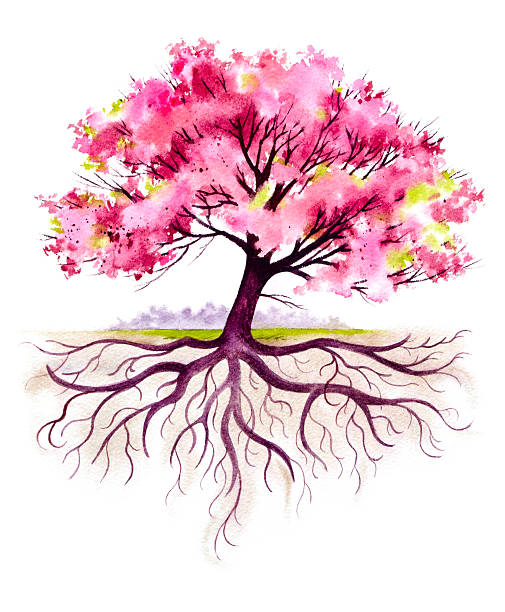 illustrazioni stock, clip art, cartoni animati e icone di tendenza di fioritura albero con radici famiglia - tree root family tree watercolor painting