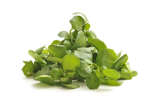 Watercress Heap of Watercress isolated on a white background. cress stock pictures, royalty-free photos & images