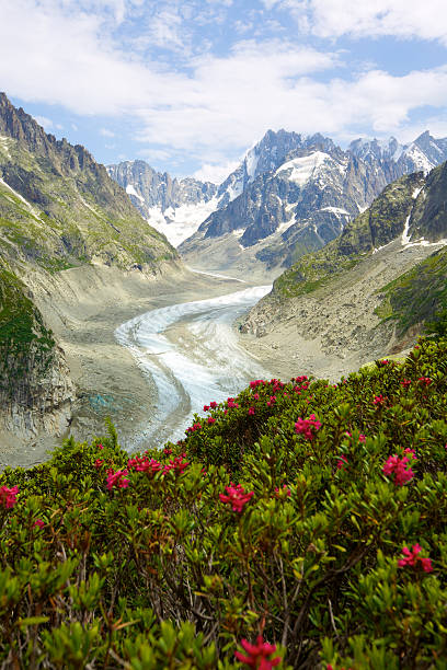 istock Sea of Ice 171350277